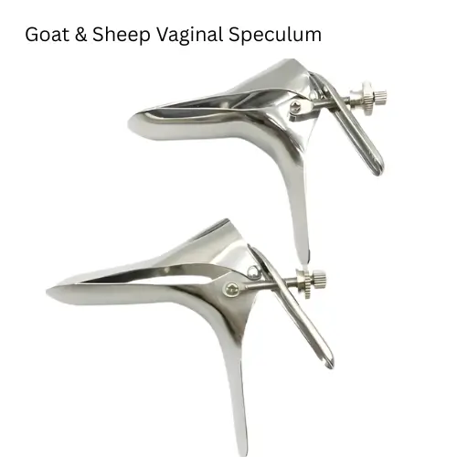 Goat & Sheep Vaginal Speculum | ছাগল ও ভেড়ার প্রজনন চেকআপ টুল