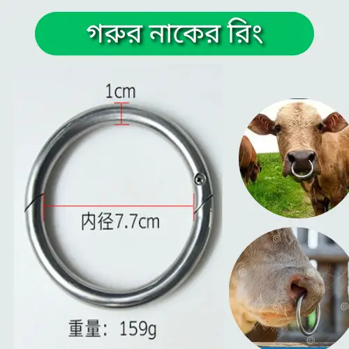 Stainless Steel Cattle Nose Ring |গরু ও ষাঁড় নিয়ন্ত্রণের টেকসই মেটাল রিং