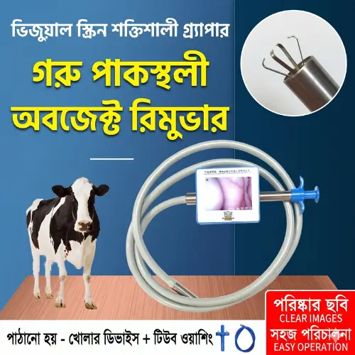 Cattle Stomach Visual Pick-Up Device | গরুর পেট পরীক্ষা ও বস্তু অপসারণ যন্ত্র