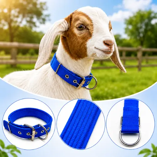 67cm Blue Goat Neck Belt | ছাগলের নীল গলার বেল্ট
