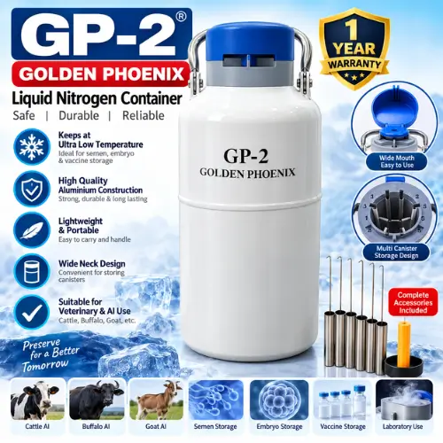 Golden Phoenix Liquid Nitrogen Can 2L | ২ লিটার লিকুইড নাইট্রোজেন ক্যান