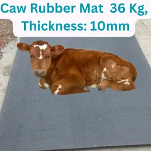 Premium Cow Rubber Mat 36 Kg ১০ মিমি পুরু গরুর ম্যাট