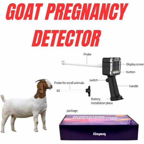 Goat Pregnancy Time Detector