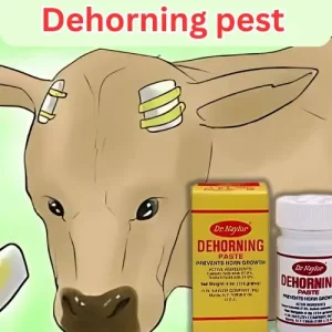 গরু ও ছাগলের শিং গজানো রোধে | Dehorning Paste