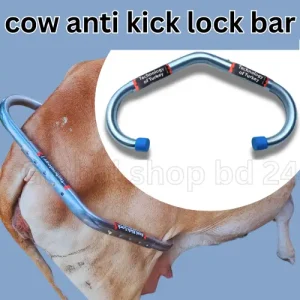 নিরাপদ দোহনের জন্য গরুর এন্টি কিক লক – Global shop bd 24