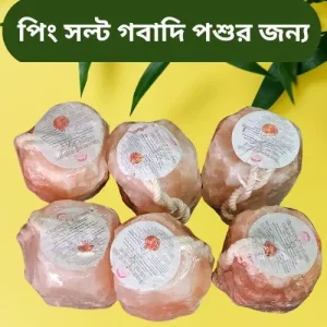 pink salt for cow | সল্ট বা পিং সল্ট গবাদি পশুর জন্য