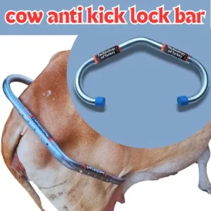 নিরাপদ দোহনের জন্য গরুর এন্টি কিক লক - Global shop bd 24