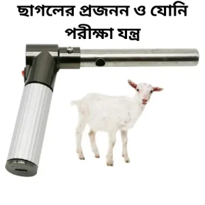 Portable Veterinary Vagina Endoscope for Goat | ছাগলের প্রজনন ও যোনি পরীক্ষা যন্ত্র