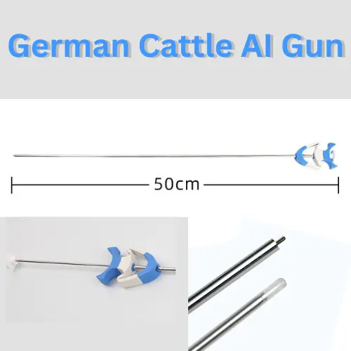 German Cattle Artificial Insemination Gun | গরুর কৃত্রিম প্রজনন AI গান