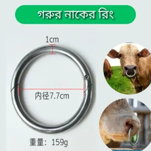 Stainless Steel Cattle Nose Ring |গরু ও ষাঁড় নিয়ন্ত্রণের টেকসই মেটাল রিং