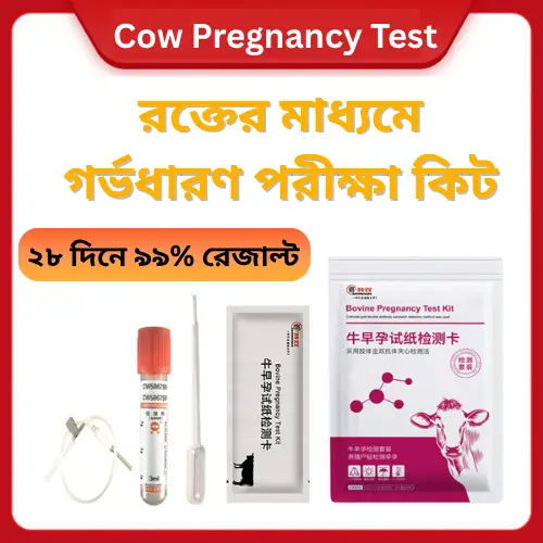 Pregnancy test paper for cattle | রক্ত পরীক্ষা করার জন্য